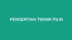 Teknik pilin