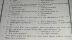 Memahami Induk Organisasi Renang di Dunia