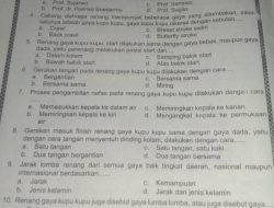 Memahami Induk Organisasi Renang di Dunia