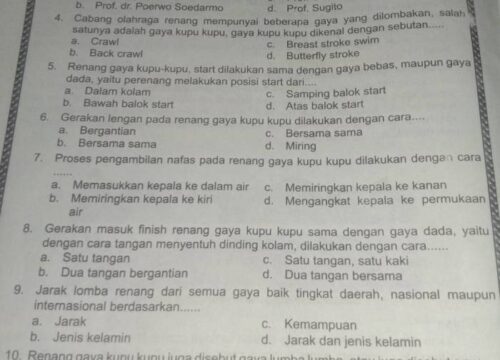 Memahami Induk Organisasi Renang di Dunia