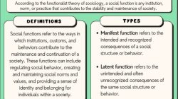 What is the social function of the text
