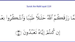 Analisis Mendalam An-Nahl 114 Kaitan dengan Kehidupan