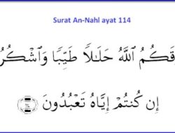 Analisis Mendalam An-Nahl 114 Kaitan dengan Kehidupan