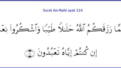 Analisis Mendalam An-Nahl 114 Kaitan dengan Kehidupan