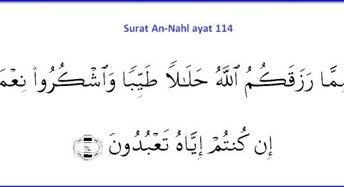 Analisis Mendalam An-Nahl 114 Kaitan dengan Kehidupan