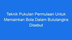 Bola dalam Permainan Bulutangkis Disebut Bola Bulutangkis
