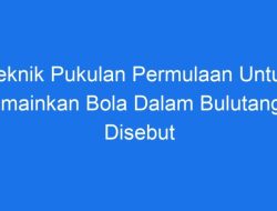 Bola dalam Permainan Bulutangkis Disebut Bola Bulutangkis