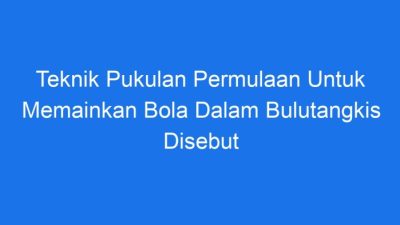 Bola dalam Permainan Bulutangkis Disebut Bola Bulutangkis