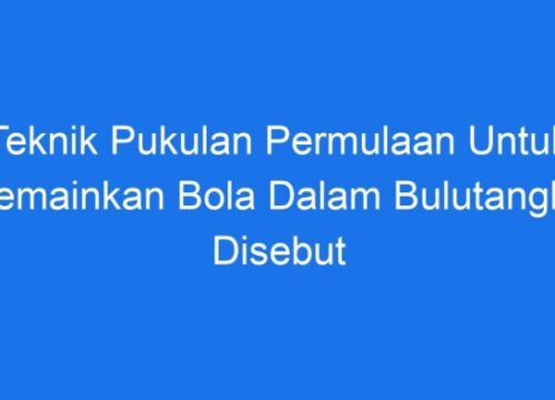 Bola dalam Permainan Bulutangkis Disebut Bola Bulutangkis