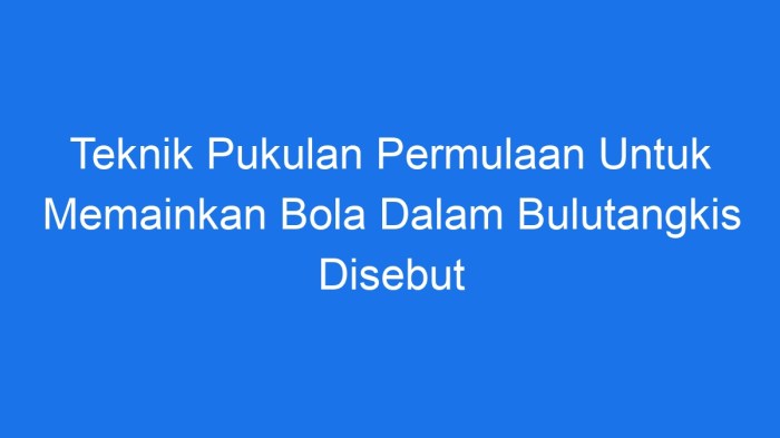 Bola dalam permainan bulutangkis disebut