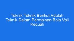 Kesalahan dalam Permainan Bola Voli, Kecuali Apa?