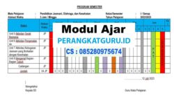 Promes Kurikulum 2013 SD Suatu Tinjauan Komprehensif