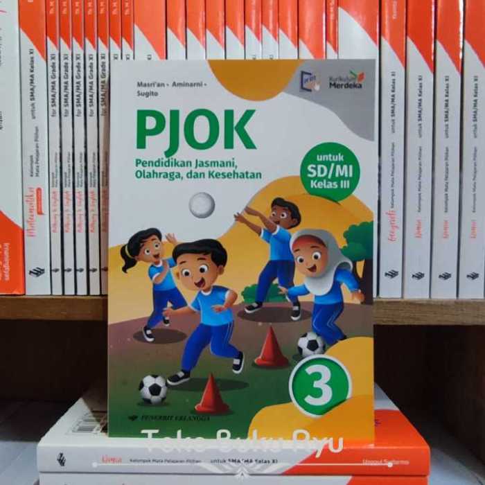 Download buku pjok sd kurikulum 2013 revisi 2017