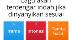 Lagu Solo Definisi, Jenis, dan Analisisnya