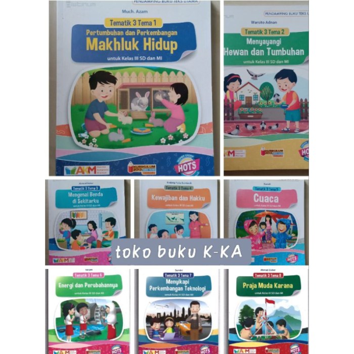 Kkm kelas 3 sd kurikulum 2013 revisi