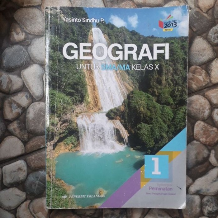 Silabus geografi k13 revisi