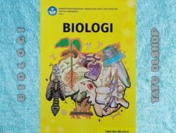 Silabus Biologi Kelas XI Kurikulum 2013 Panduan Belajar Biologi yang Efektif