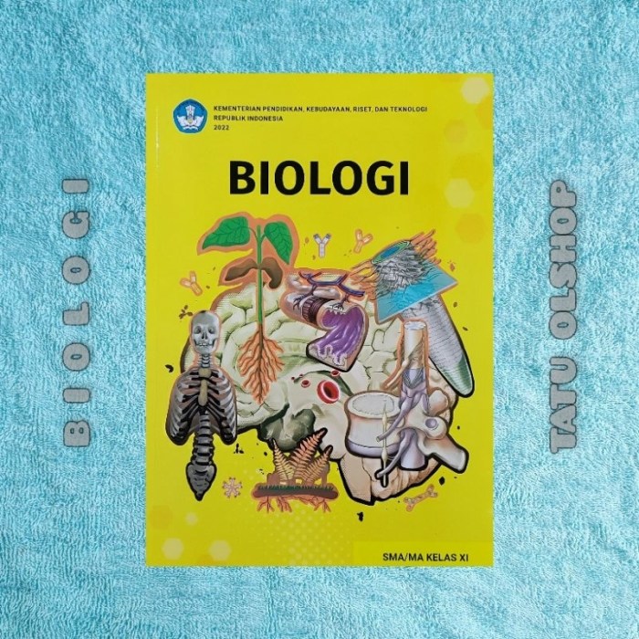 Silabus biologi kelas xi kurikulum 2013