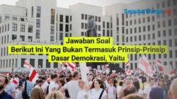 Memahami Konsep Yang Bukan Termasuk dalam Berbagai Bidang