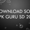 Contoh Soal PPPK Guru SD 2021 PDF Panduan Lengkap