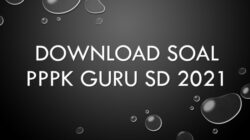 Contoh Soal PPPK Guru SD 2021 PDF Panduan Lengkap