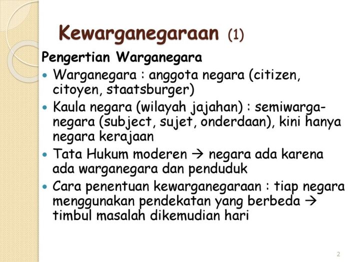 Seseorang yang memiliki dua atau lebih kewarganegaraan disebut