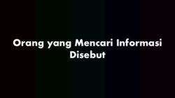Orang yang memberikan informasi dalam berita disebut