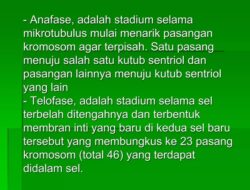 Memahami Penyakit Genetik yang Diturunkan