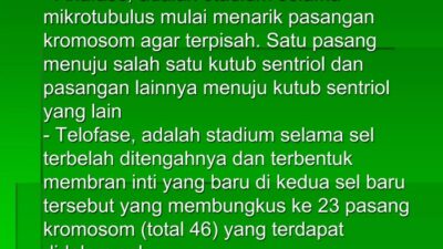 Memahami Penyakit Genetik yang Diturunkan