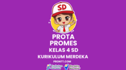 Prota promes sd