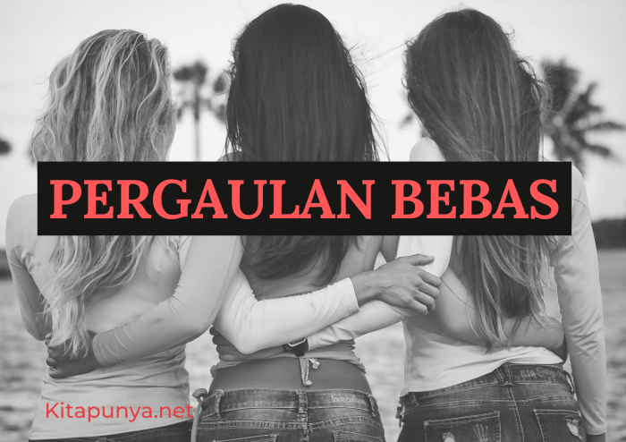 Pergaulan bebas disebut juga dengan