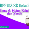 RPP K13 Kelas 2 Revisi 2018 Panduan Pembelajaran Efektif
