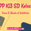 RPP Tema 5 Kelas 3 Revisi 2018 Panduan Lengkap