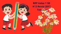 Rpp kelas 1 sd kurikulum 2013 revisi 2017