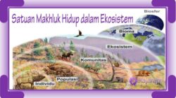 Habitat dan Nisca Tempat Hidup Organisme