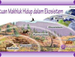 Habitat dan Nisca Tempat Hidup Organisme