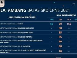 Unduh Kisi-Kisi Soal CPNS 2021 PDF Panduan Persiapan