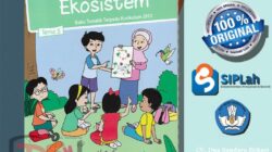 Kkm kelas 5 semester 1 revisi 2020