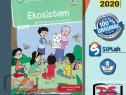 KKM Kelas 5 Semester 1 Revisi 2020 Panduan Lengkap