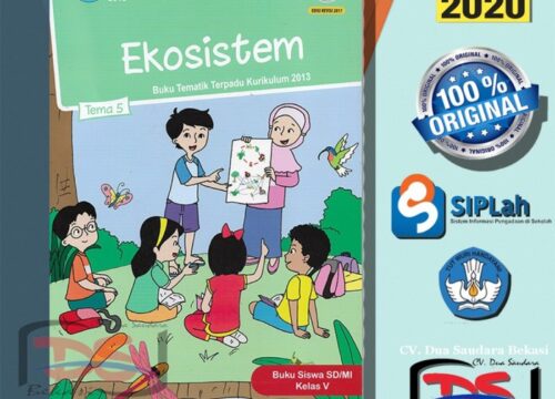 KKM Kelas 5 Semester 1 Revisi 2020 Panduan Lengkap