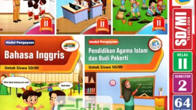 KKM Kelas 2 SD Kurikulum 2013 Revisi 2017 Semester 1