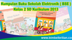 Bse kelas 2 sd kurikulum 2013 revisi 2017