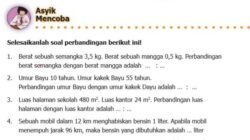 Soal Perbandingan Kelas 5 Memahami Konsep dan Strategi