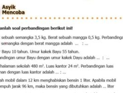 Soal Perbandingan Kelas 5 Memahami Konsep dan Strategi