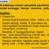 Natalitas Adalah Faktor, Dampak, dan Prediksi