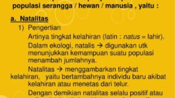 Natalitas Adalah Faktor, Dampak, dan Prediksi