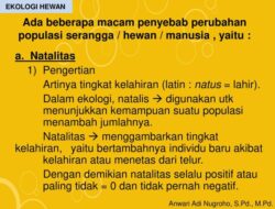 Natalitas Adalah Faktor, Dampak, dan Prediksi