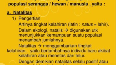 Natalitas Adalah Faktor, Dampak, dan Prediksi