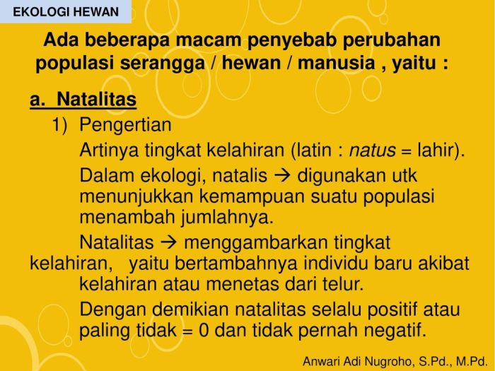 Natalitas adalah