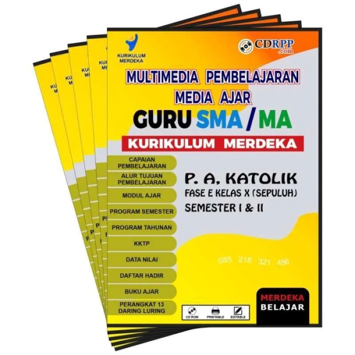 Rpp sma kelas x kurikulum 2013